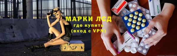 ГАЛЛЮЦИНОГЕННЫЕ ГРИБЫ Балабаново