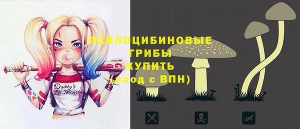 ГАЛЛЮЦИНОГЕННЫЕ ГРИБЫ Балабаново