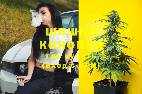ГАЛЛЮЦИНОГЕННЫЕ ГРИБЫ Балабаново