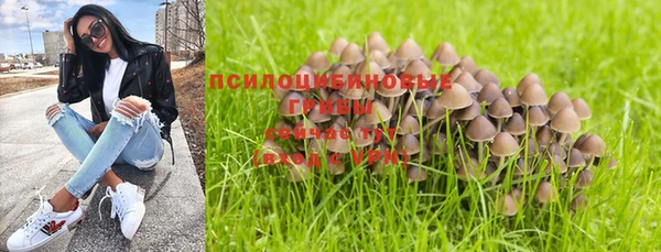 ALPHA-PVP Баксан